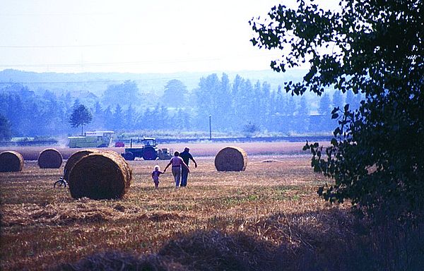 Foto: Dottenfelder Hof